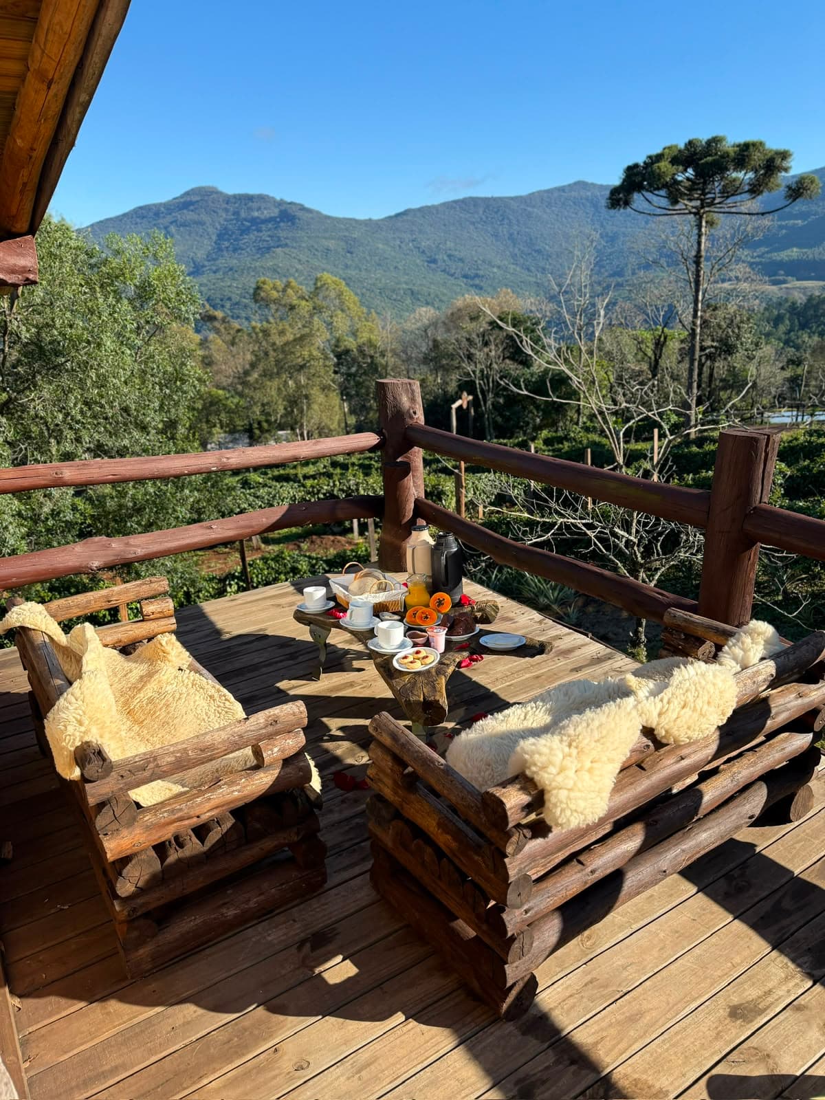 Cabana Ipê Amarelo  — foto 3